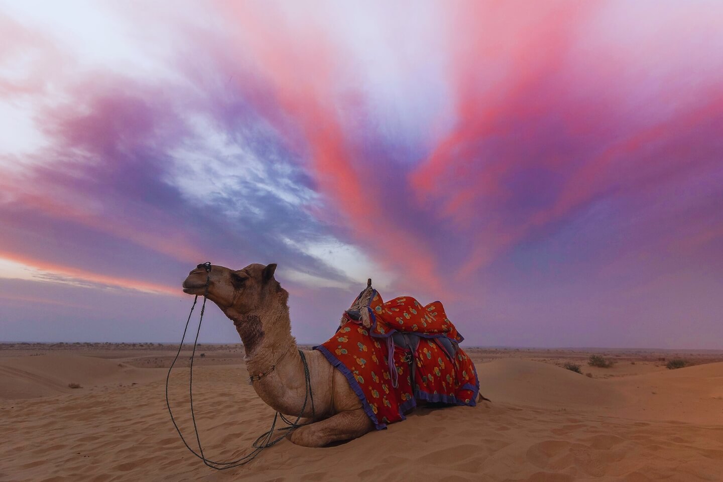 Sam Sand Dunes